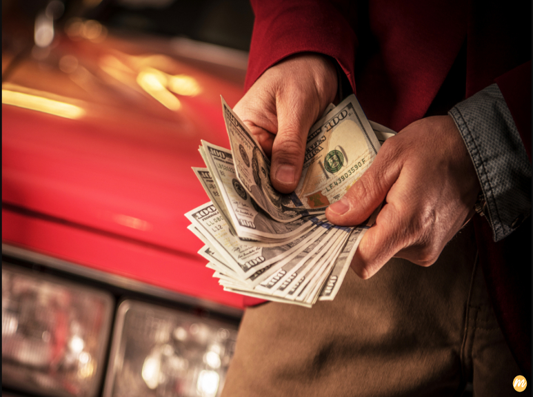 focus photography of person counting dollar banknotes